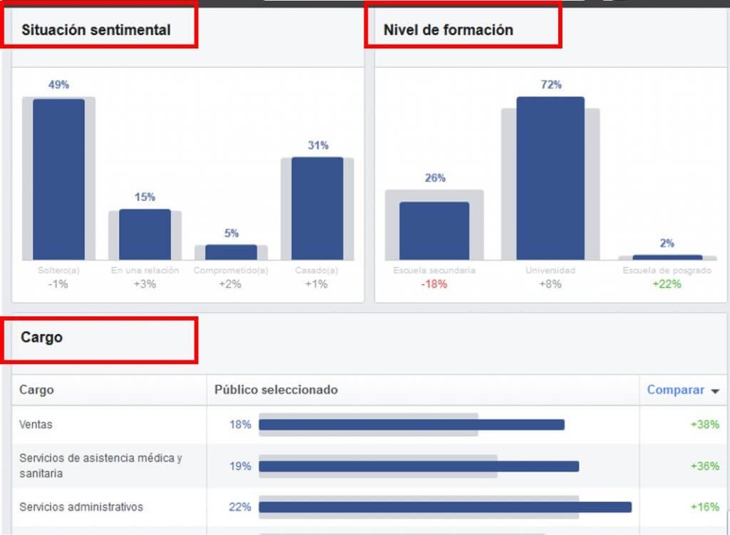 Estadísticas del público de Facebook Business Manager